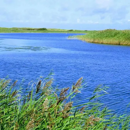 Dom wakacyjny 4 Star In Hemmet Falen
